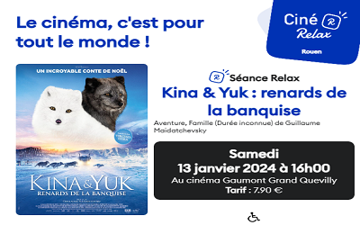 Séance ciné relax accessible et apaisée à Rouen-Grand Quevilly (76) le samedi 13 janvier 2024 à 16h00 avec le film « Kina & Yuk renards de la banquise » (sans publicité et bande-annonce, lumière s’éteignant doucement, son abaissé)